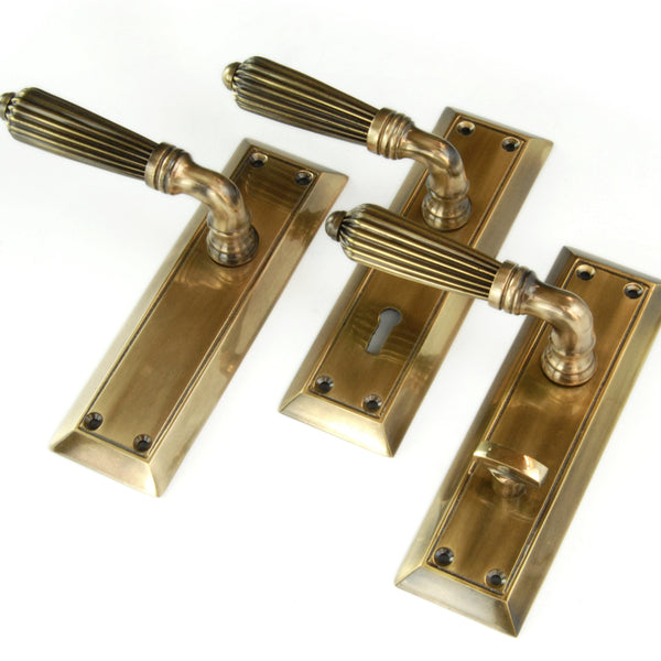 Antique Solid Brass Regency Reeded Lever Door Handles on Long Backplate