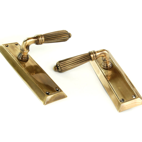 Antique Solid Brass Regency Reeded Lever Door Handles on Long Backplate