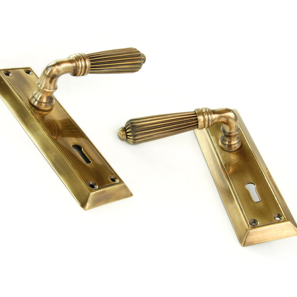 Antique Solid Brass Regency Reeded Lever Door Handles on Long Backplate