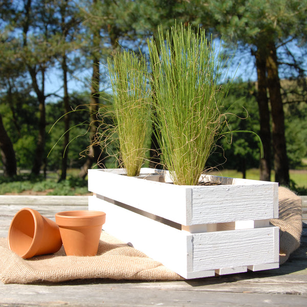 White Vintage Fruit Crate Style Narrow Garden Trough Planters Boxes