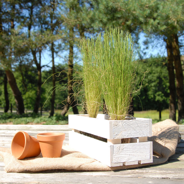 White Vintage Fruit Crate Style Narrow Garden Trough Planters Boxes